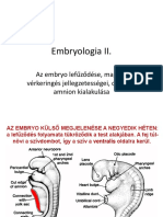 Anatómia Ea7