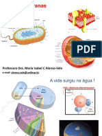 Biomembranas: Professora Dra. Maria Isabel C Alonso-Vale