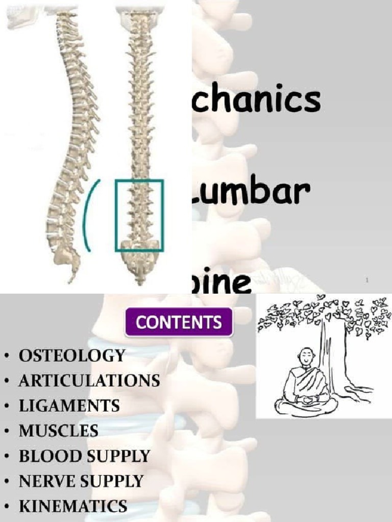 Biomechanics of Lumbar Spine PDF
