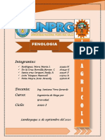 FENOLOGIA