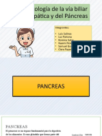 Fisiopatologia Del Pancreas y La Vesicula Biliar Extrahepatica-1-3