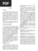 morfvegetalorgaSEMENTE