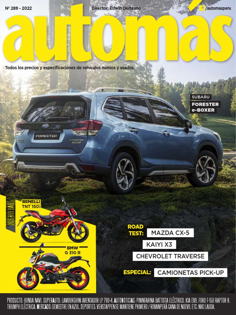 Importancia del Octanaje en Vehículos | PDF | Marketing | Coche