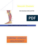 Dr. Intan - Vascular Disease