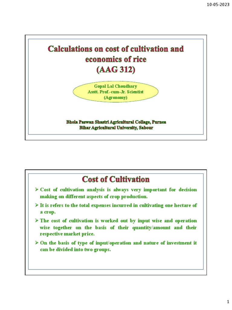 Calculations On Cost of Cultivation and Economics of Rice (AAG 312 ...