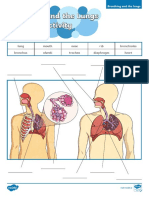 Roi SC 261 Breathing and The Lungs Labelling Activity Ver 1