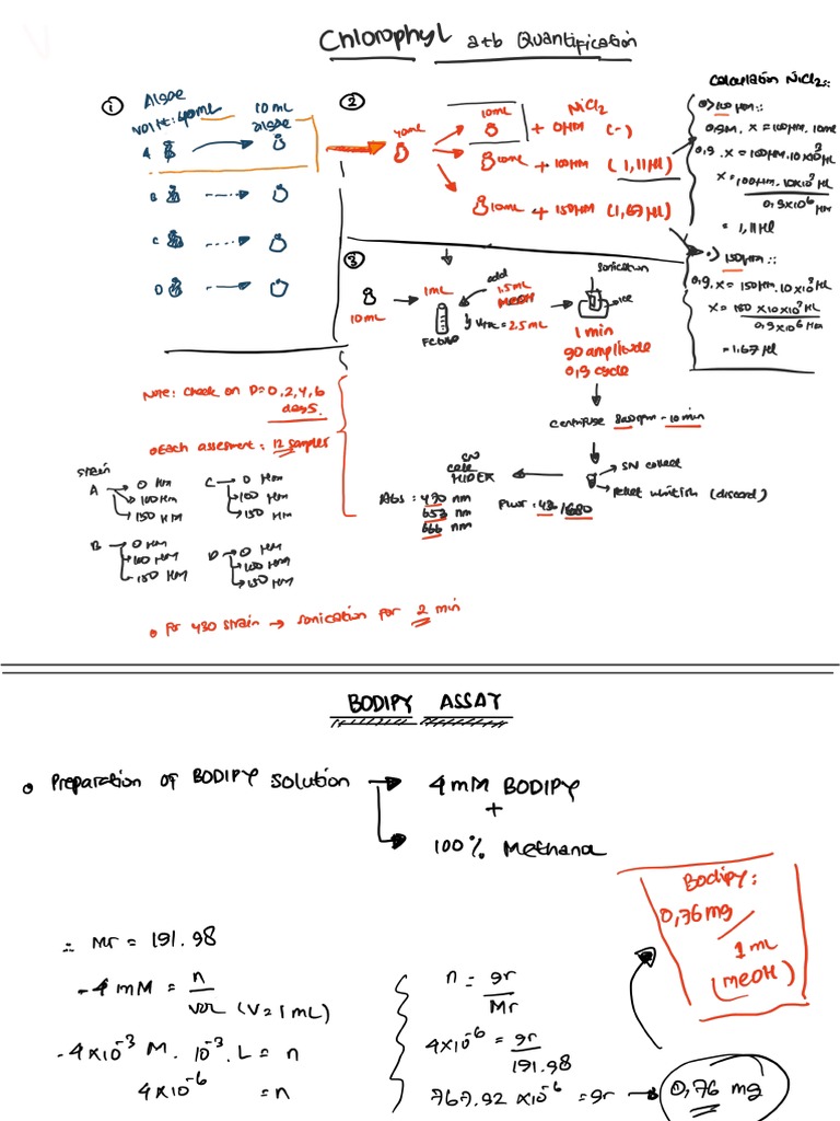 Chlorophyll Quantification and Bodipy PDF