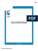 Cenni Di Diritto Penale