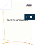 5-Órgãos Gestores Da Política Ambiental