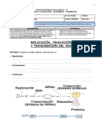 Ficha 15 - 5º - Repl, Traduc, Transc