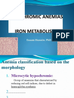 Anemia Hypochromic