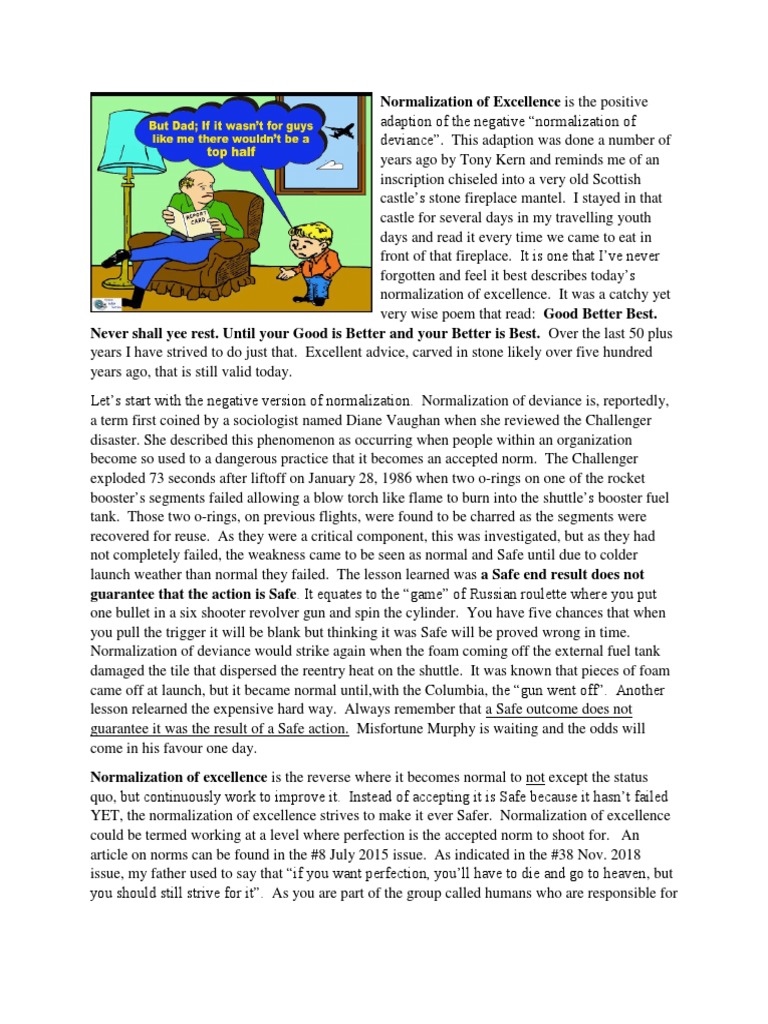 Normalization of Excellence | PDF | Occupational Burnout