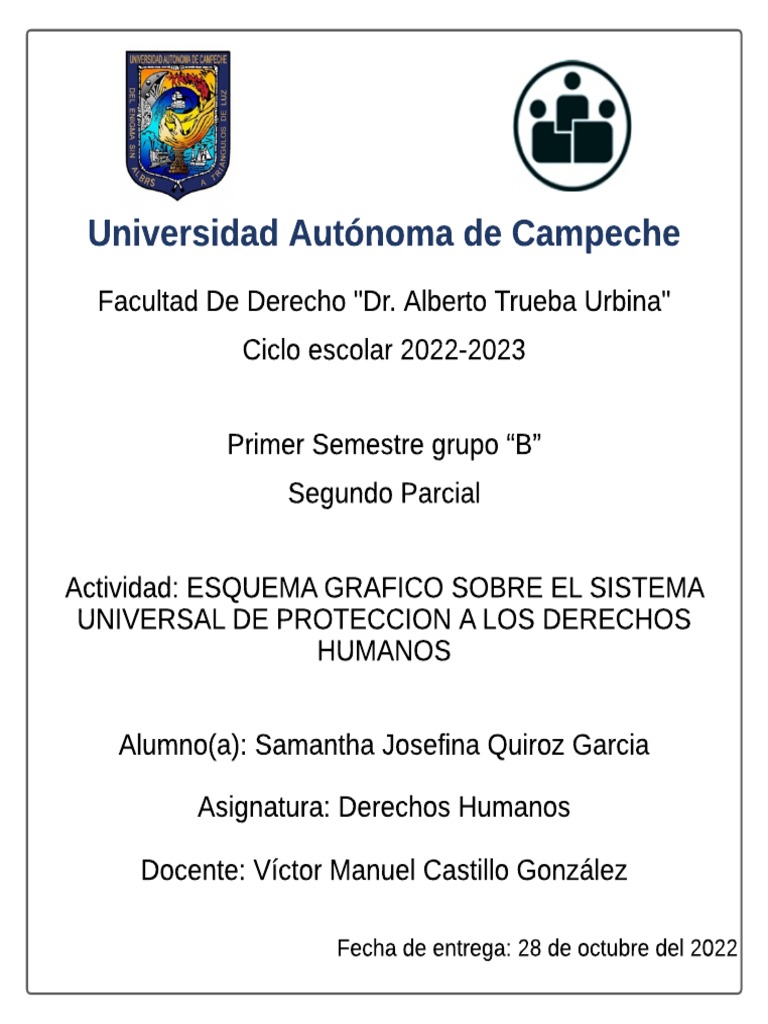 Esquema Grafico - Derechos Humanos | PDF | Naciones Unidas | Relaciones