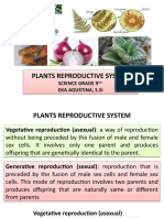 01 Plant Reproductive System