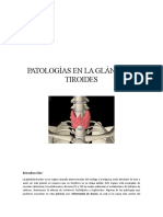 Copia de Informe Patologias Glandula Tiroides