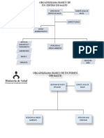 Organigrama Basico de Un Centro de Salud