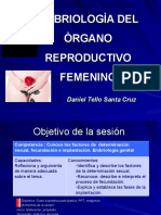 Embriologia Genital Femenina