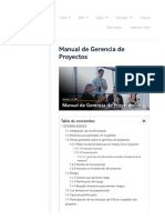 Manual de Gerencia de Proyectos - Portal de Ayuda S10