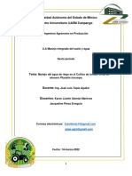 Monografia Tomate Verde de Cáscara.