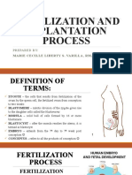 3 Fertilization and Implantation Process