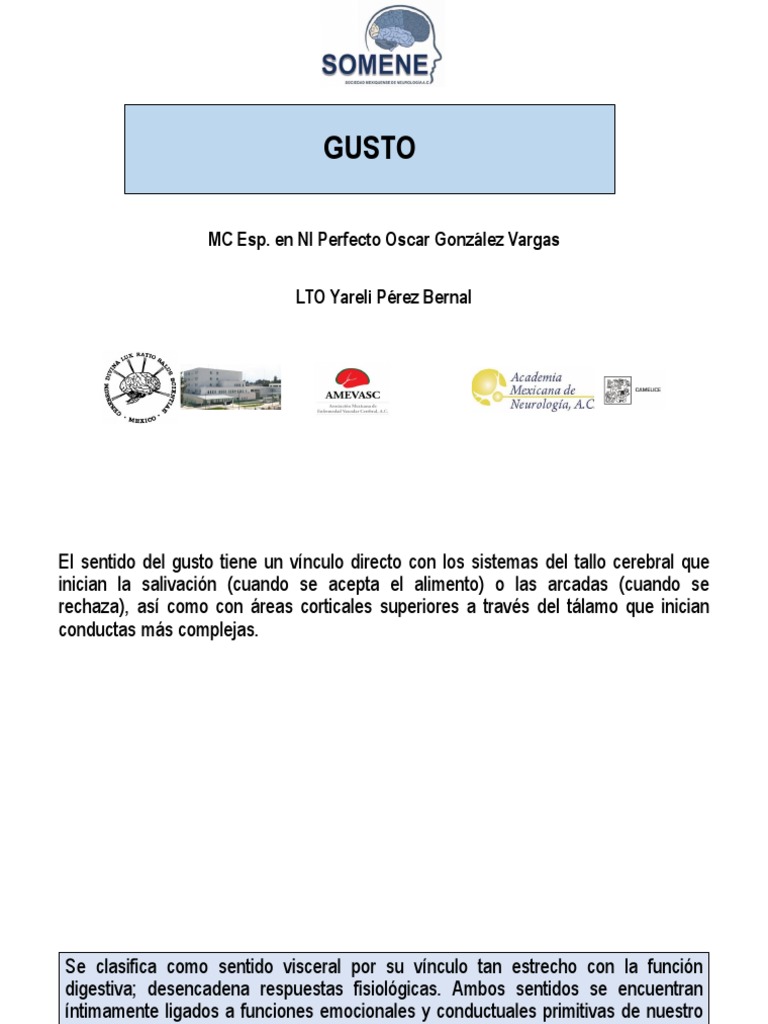 Sentido Del Gusto Pdf Gusto Lengua