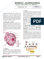 16 Citologia VII