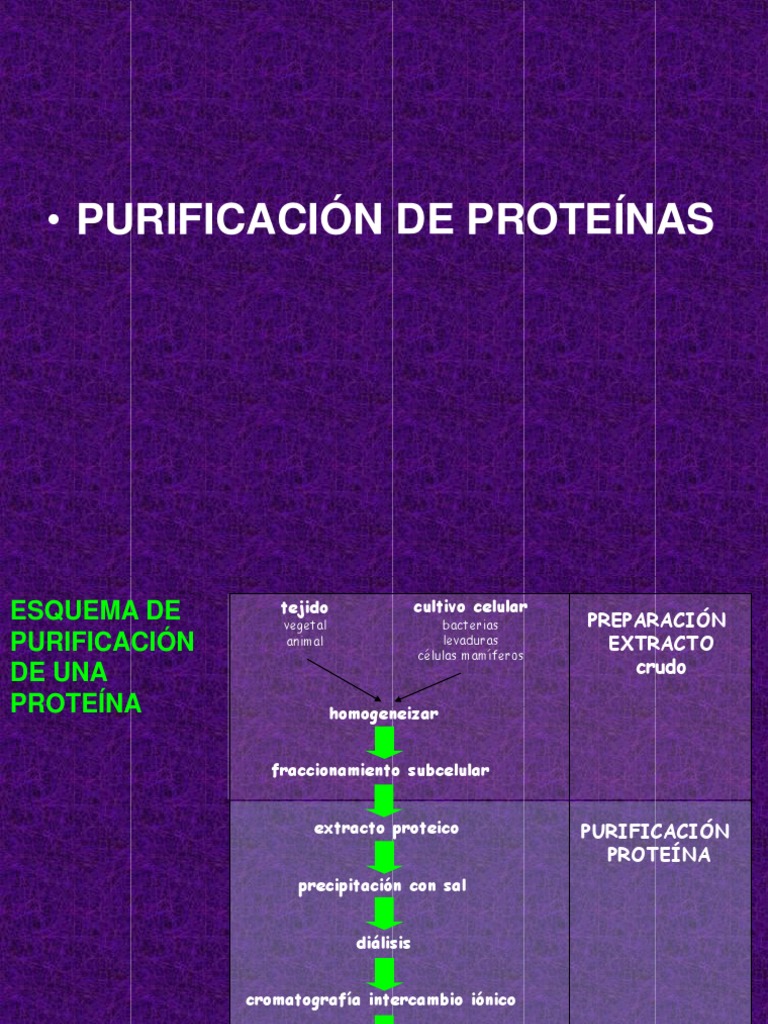purificaci-n-celular-pdf-eluci-n-cromatograf-a