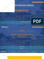 Genetica UCSUR - T1 - Bases Moleculares de La Herencia
