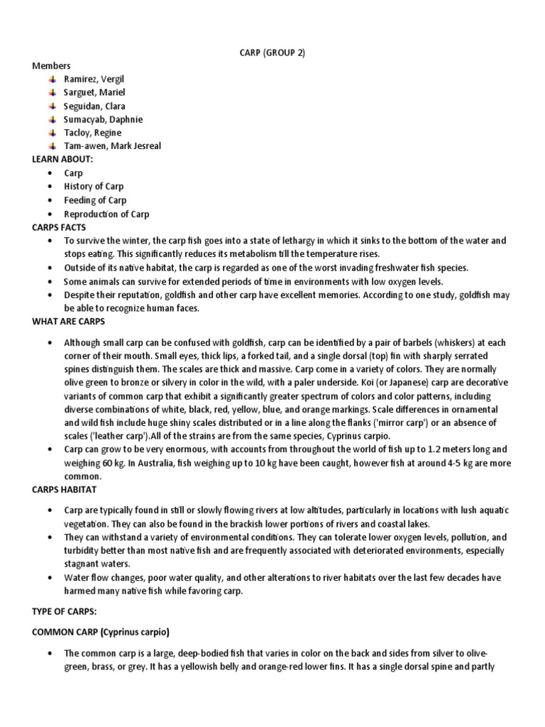 CARP Written Report | PDF