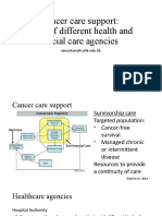 Cancer Care Support Role of Health and Social Care Agencies