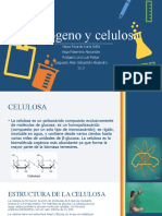 Glucógeno y Celulosa 11 3 AVP KYR SSA LRL
