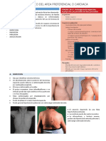 1.3 Examen Fisico Ii Cardiaco