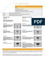 5.1 APARATO GENITAL MASCULINO-femenino