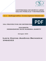 LaraGarza Infog