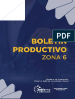 Boletin Productivo Zona 6