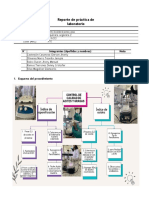 FORMATO - Reporte de Resultados Laboratorio 2023-Practica 10