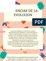 Evidencias de La Evolución