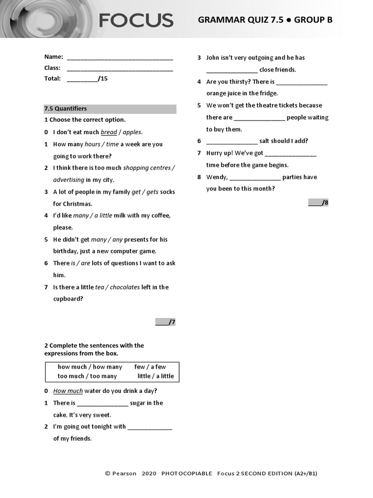 Focus 2 Unit 7 Test: Group B | PDF