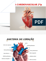 Semiologia cardiovascular 2.ºp.ppt (1)