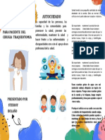 Folleto Brochure de Servicios Empresa Profesional Amarillo (1)