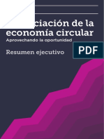 Financiación-de-la-economía-circular-Resumen-Ejecutivo-fund - Ellen Mac