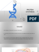 Protein Synthesis