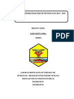Format Laporan Resmi Praktikum Petrologi 2023