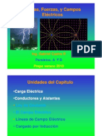 Cargas Fuerzas y Campos Electricos