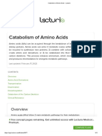 Catabolism of Amino Acids - Lecturio