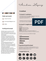 Copia de Curriculum Curriculo CV Profesional Moderno Original