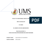 Practical 2 Lab Report - BR20110016