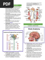 Understanding Neuro Root Words | PDF
