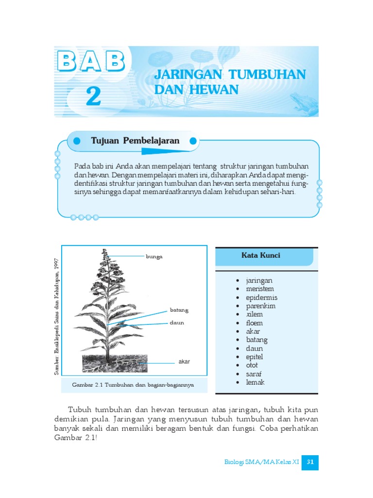Jarinagan Tumbuhan Dan Hewan 2