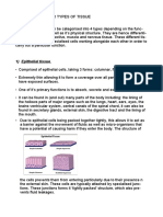 Cell and Tissues Resub